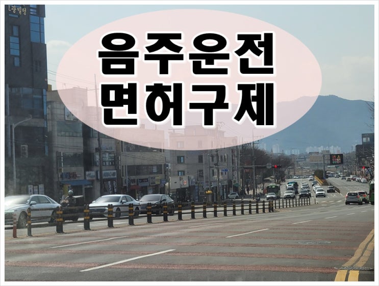  음주운전 적발 시 대처법 중요한 건 면허 구제