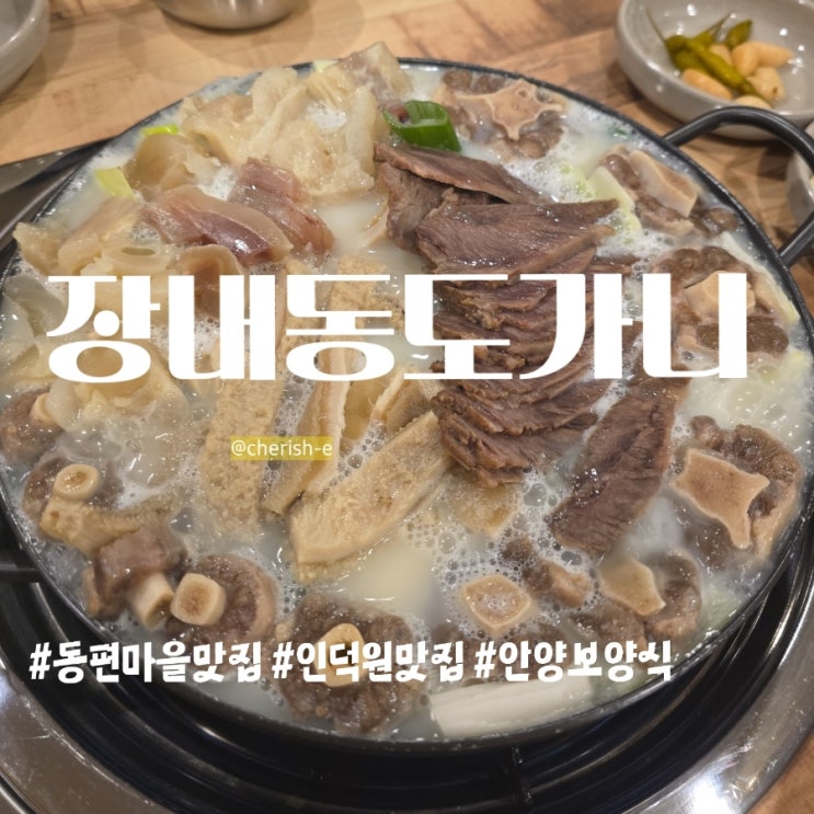  사장님, 남는 게 있으신가요?안양동편마을맛집 장내동도가니에서 무릎 탁 치고 온 후기