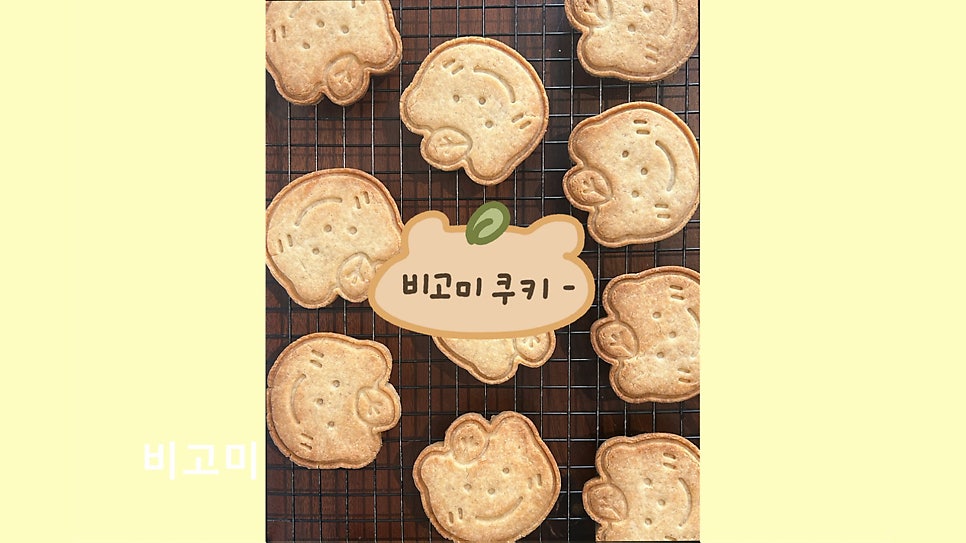 비고미 사진 6