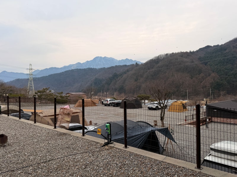 포레스트 소울