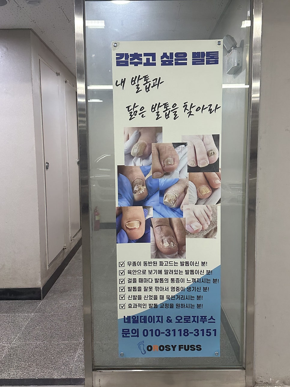 네일데이지 사진 1