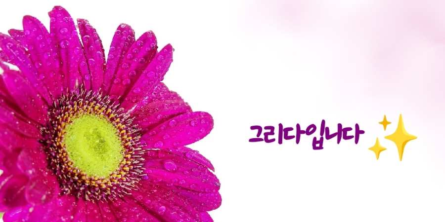 영희네김밥 사진 1