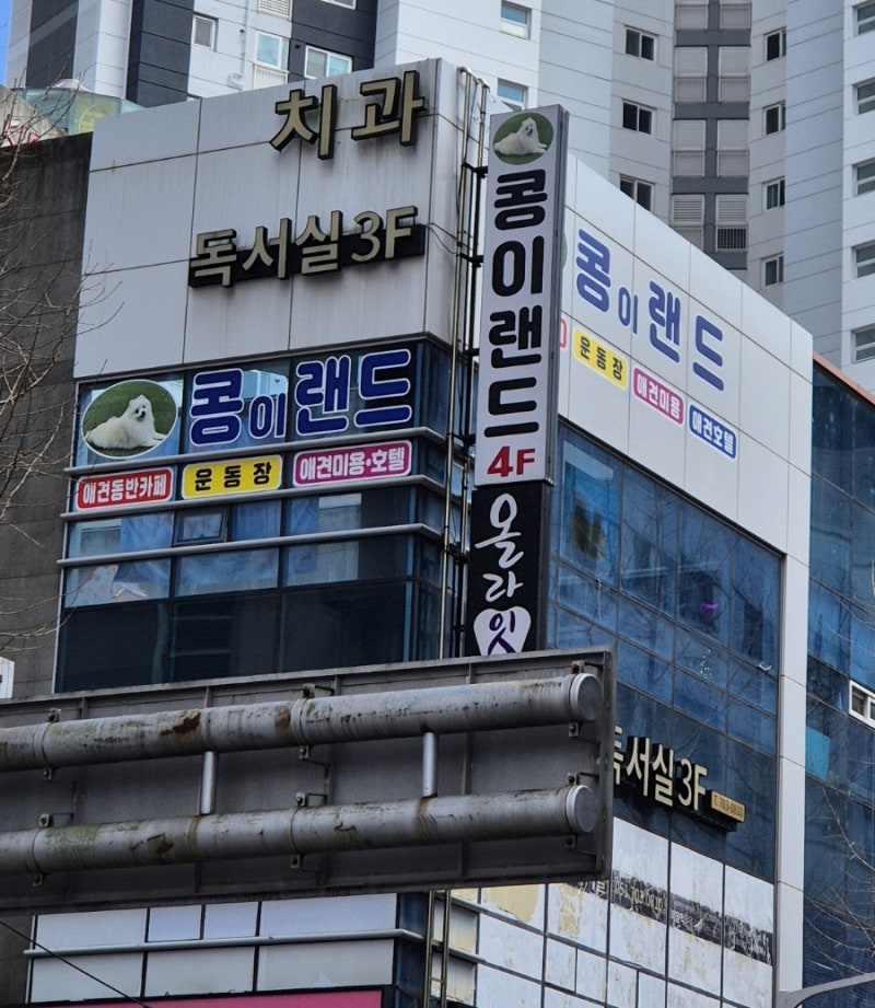 사진 2