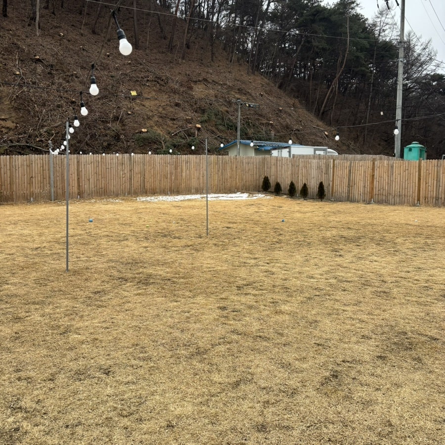 너나들이채 사진 4