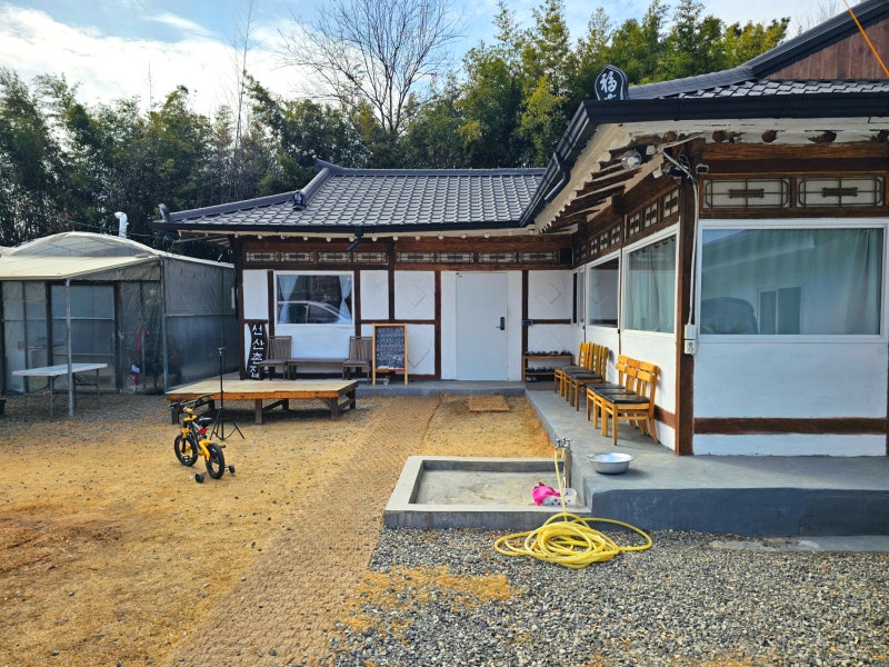 사진 2