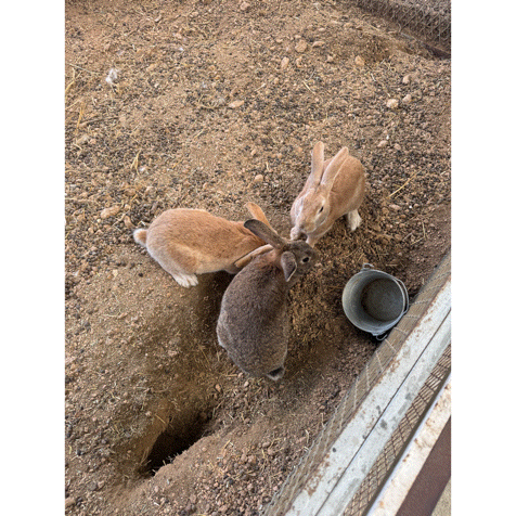  [경북 상주] 상주 아이랑 가볼만한 곳 강추