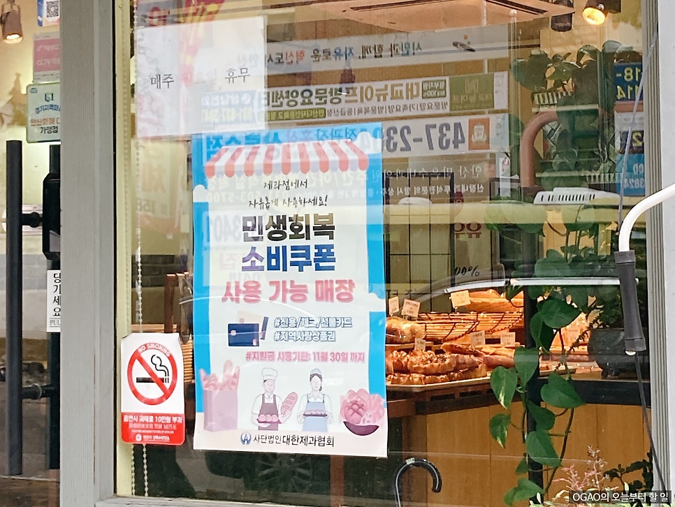 빠띠프랑 사진 3