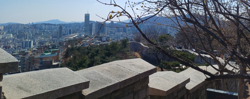 사진 6