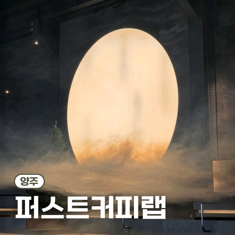 사진 10