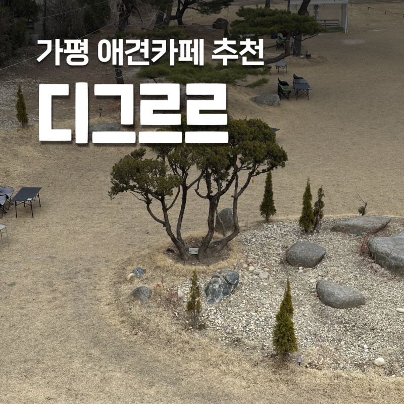 사진 8