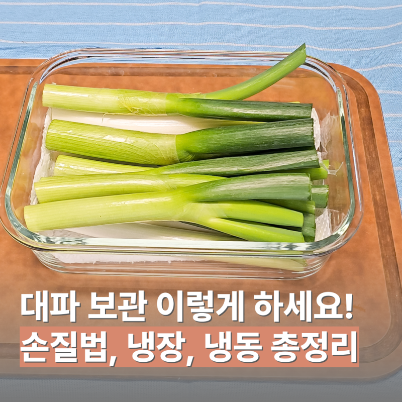 흙대파 보관법 총정리! 손질부터 냉동까지 한 달 내내 싱싱한 비결