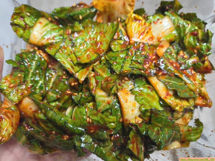  봄동 철 간단하게 만드는 반찬 봄동 겉절이 만들기