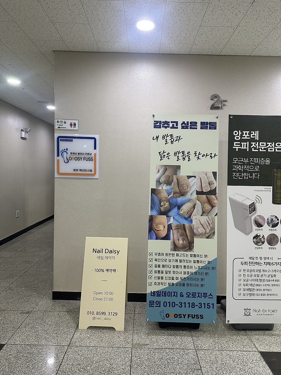 네일데이지 사진 4