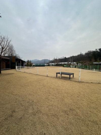 사진 9