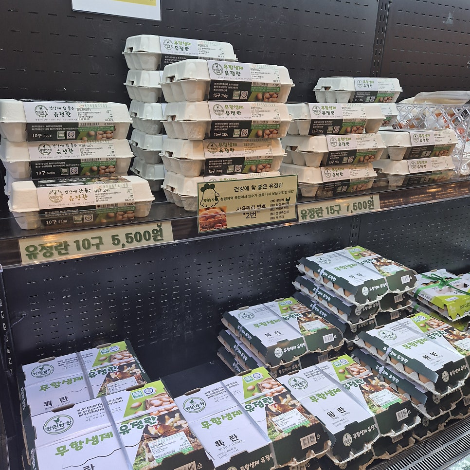 뜰팡 사진 5
