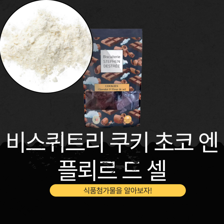  코스트코 신상 17,490원 벨기에산 [비스퀴트리 쿠키 초코 엔 플뢰르 드 셀] 버터 21.2% 함유