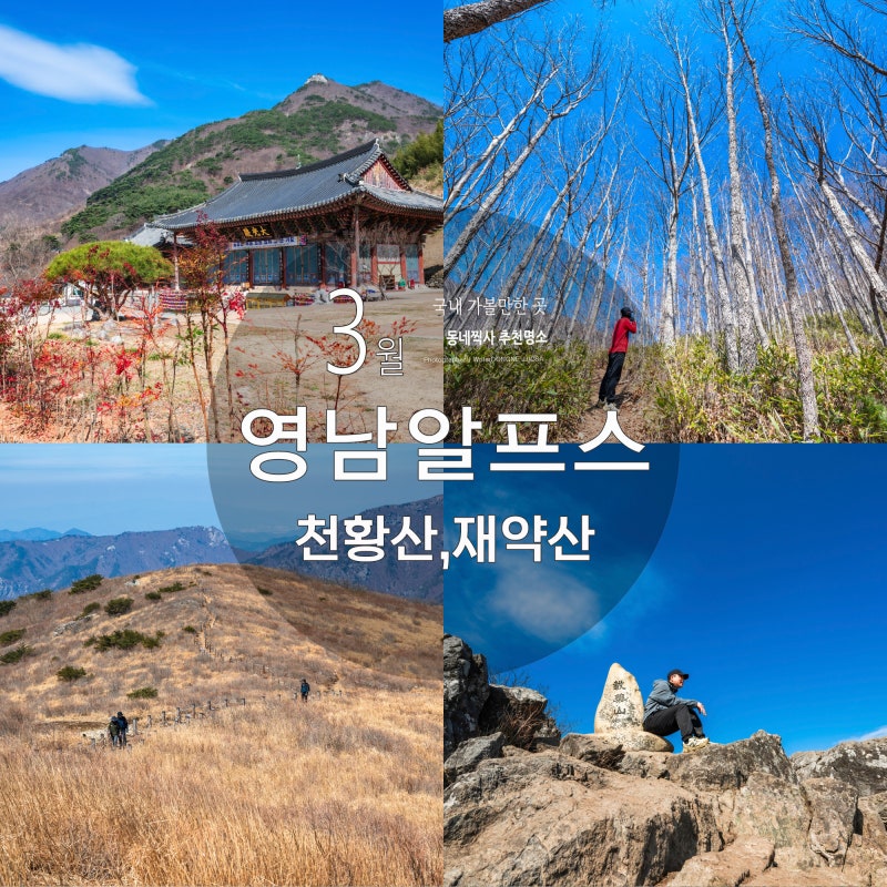 사진 7