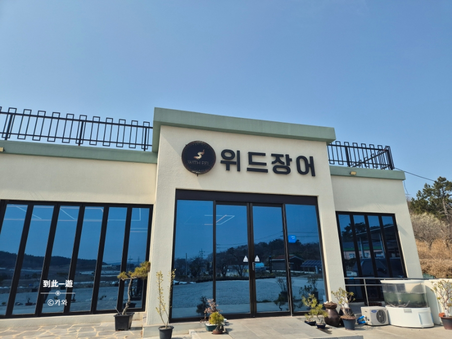 위드장어 사진 3