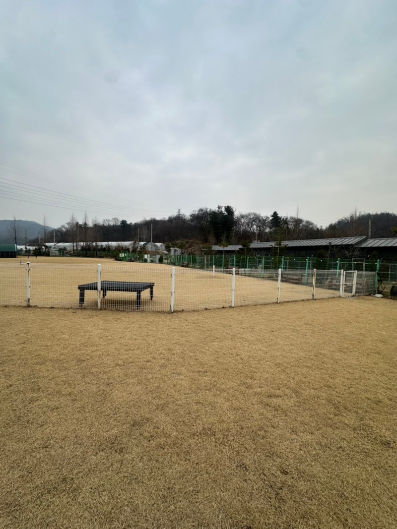 사진 8