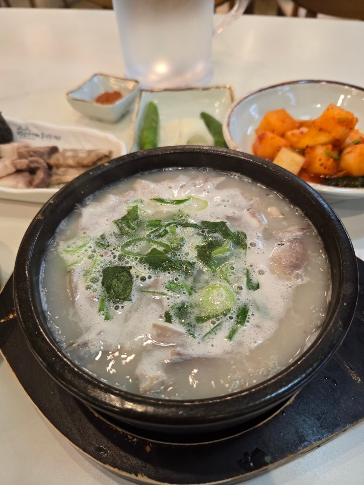  세종에서 유명한 부강옥 순대국밥 솔직 후기｜왜 명품 순대국일까?