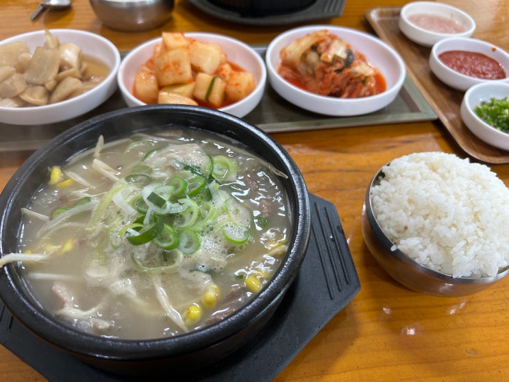  [춘천] 한림대학교 학생들의 든든한 해장 순대국 맛집 <할머니순대국>
