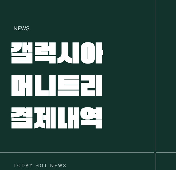 갤럭시아머니트리 미납 배달 사용방법 결제제한 다날 결제내역 조회