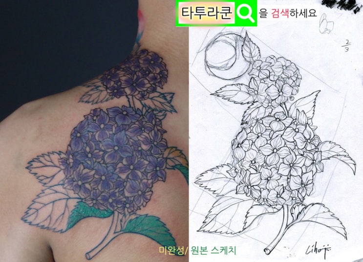  청보라색 수국 꽃타투 작업/미완성타투/홍대타투라쿤
