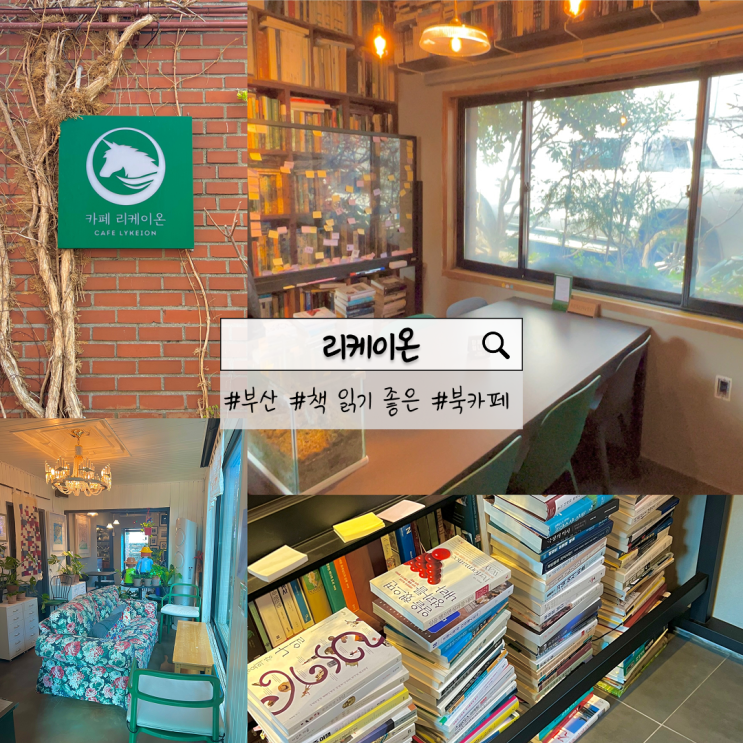  부산 리케이온 | 숲속의 작은 도서관 같아 집중하기 좋은 영도 북카페