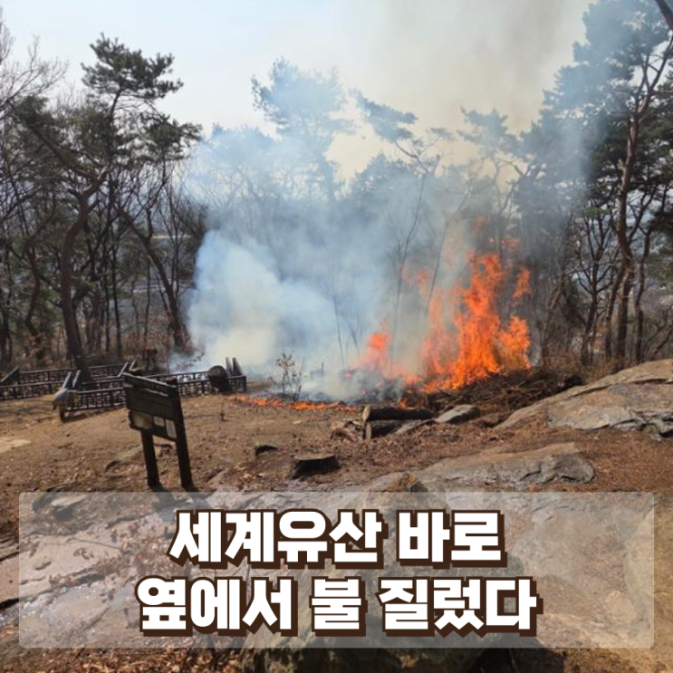 “세계유산 바로 옆에서 불 질렀다”…팔달산 연쇄 방화 사건이 남긴 충격