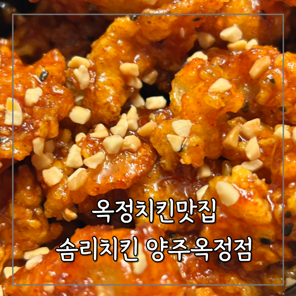 솜리치킨 사진 1