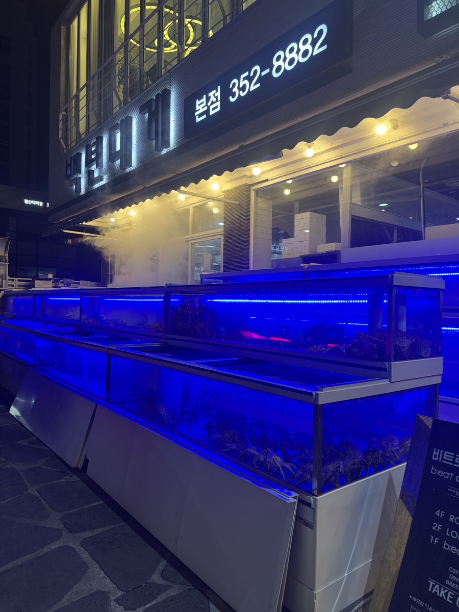 백년대게 본점 사진 2