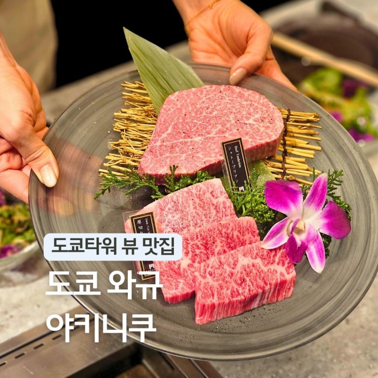  일본 롯폰기 맛집 도쿄 야키니꾸 도쿄타워 뷰 폰가 프리미엄 여행 코스