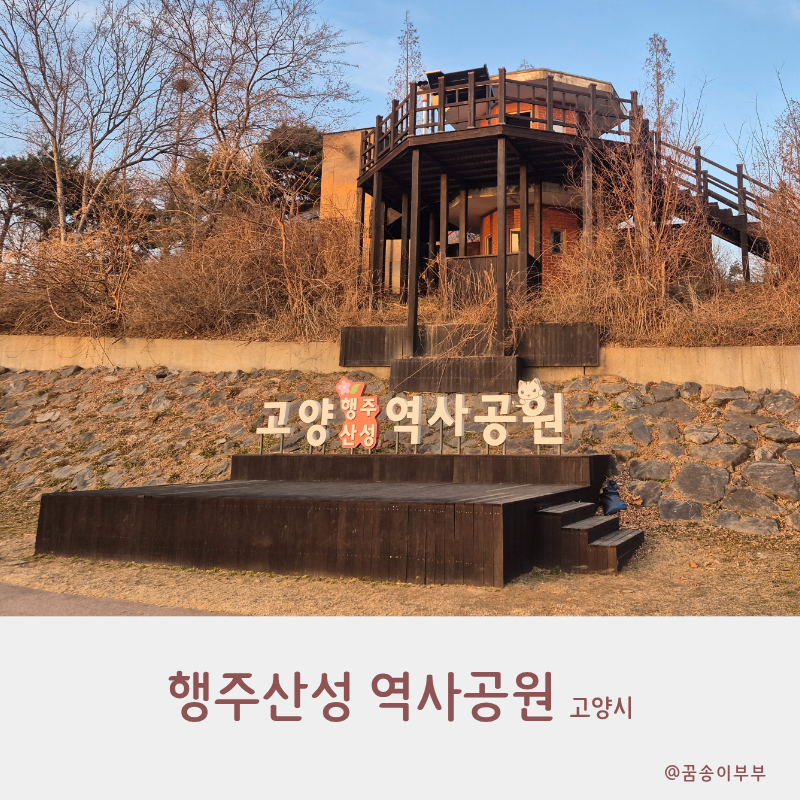 사진 9