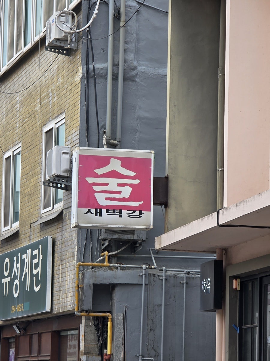 새벽강 사진 1