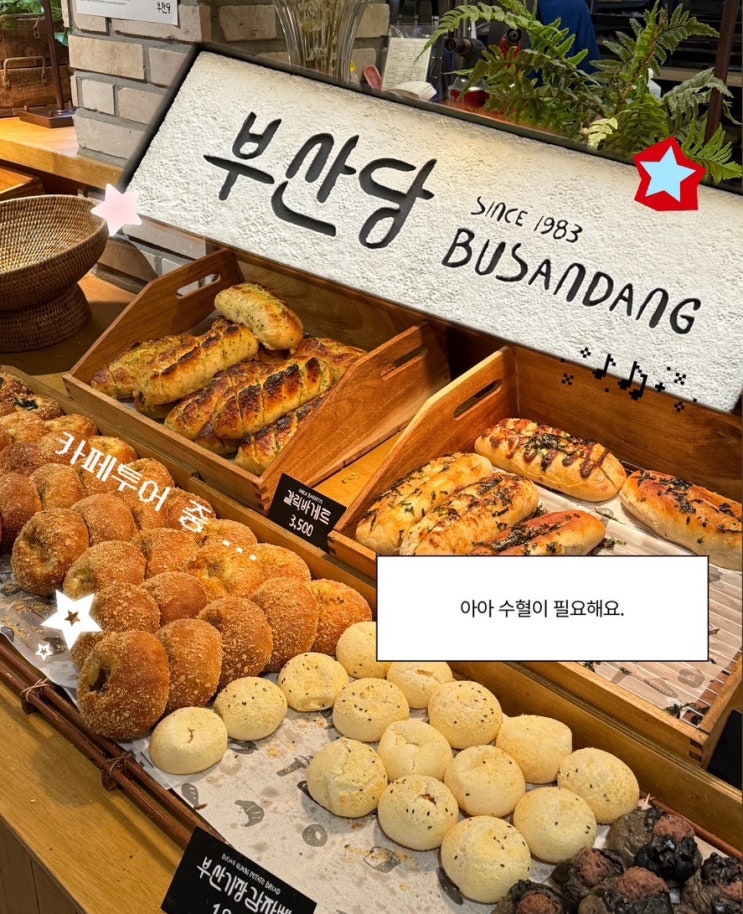  부산역 베이커리 부산당 솔직후기 (유명해서 가봤는데)