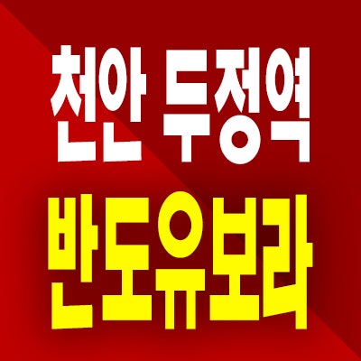 천안 두정역 반도유보라 즉시입주 아파트 두정동 준공후 회사보유분 잔여세대