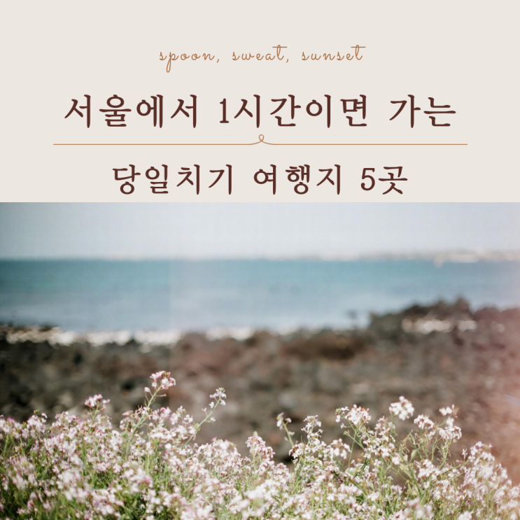 서울 출발 국내 당일치기 여행 1시간 근교 여행지 5곳