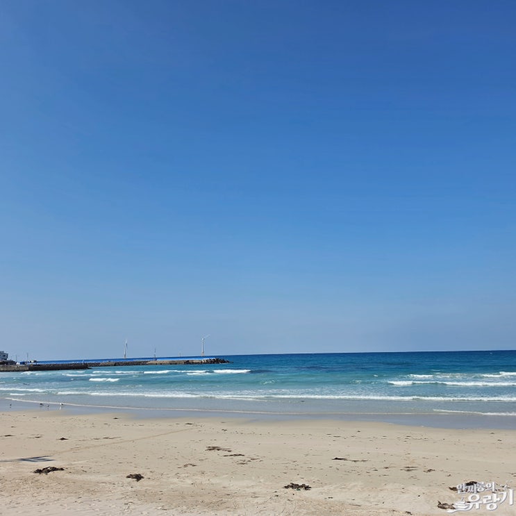  제주 월정리 여유로운 제주바다 만끽하기 좋은 곳