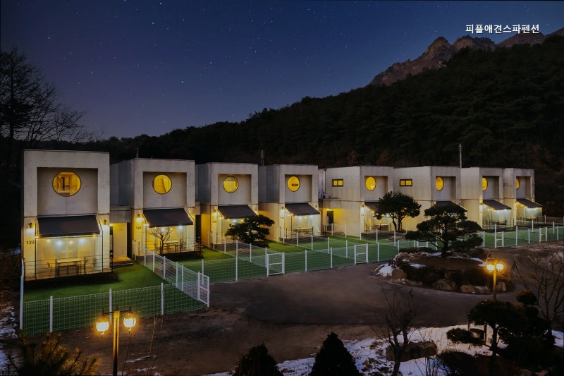 사진 3