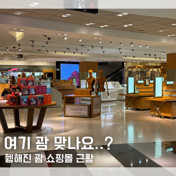  "제가 알던 괌 맞나요?" 괌 쇼핑몰 더 플라자 스투시 T갤러리아 ABC스토어 방문 후기