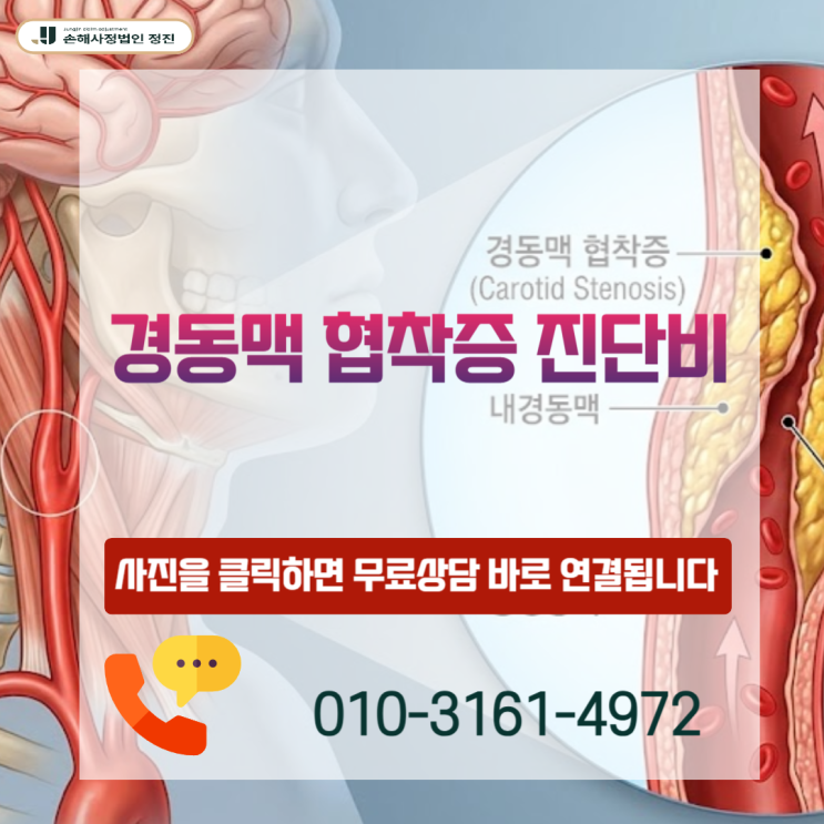  경동맥 협착증 진단비, I65.2 코드인데 보험금 거절? 실제 해결 사례공개
