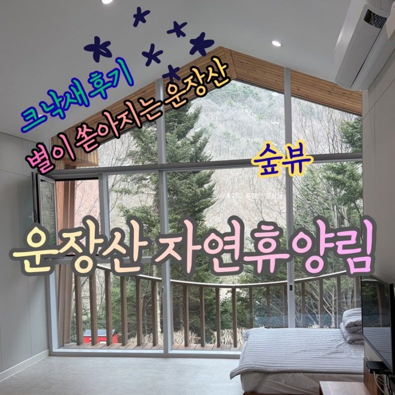 신축 자연휴양림, 운장산 자연휴양림 “크낙새” 이용 후기, 예약방법, 준비물, 장점과 단점....