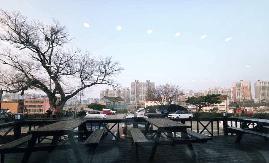 행복한콩박사 사진 6