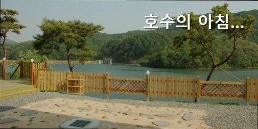 호수의아침 사진 4