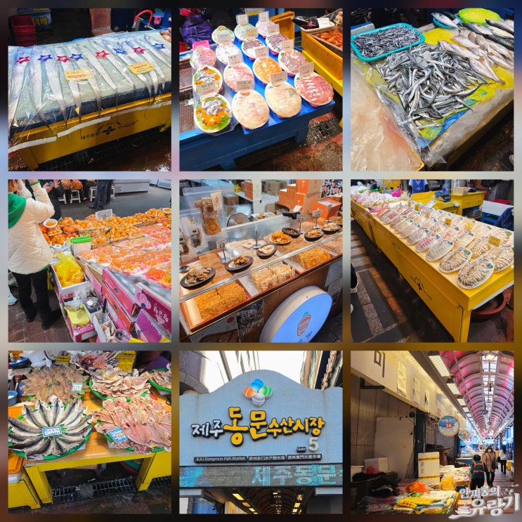 제주 동문시장 먹거리와 선물 둘러보기 당근과즐 천혜향 택배