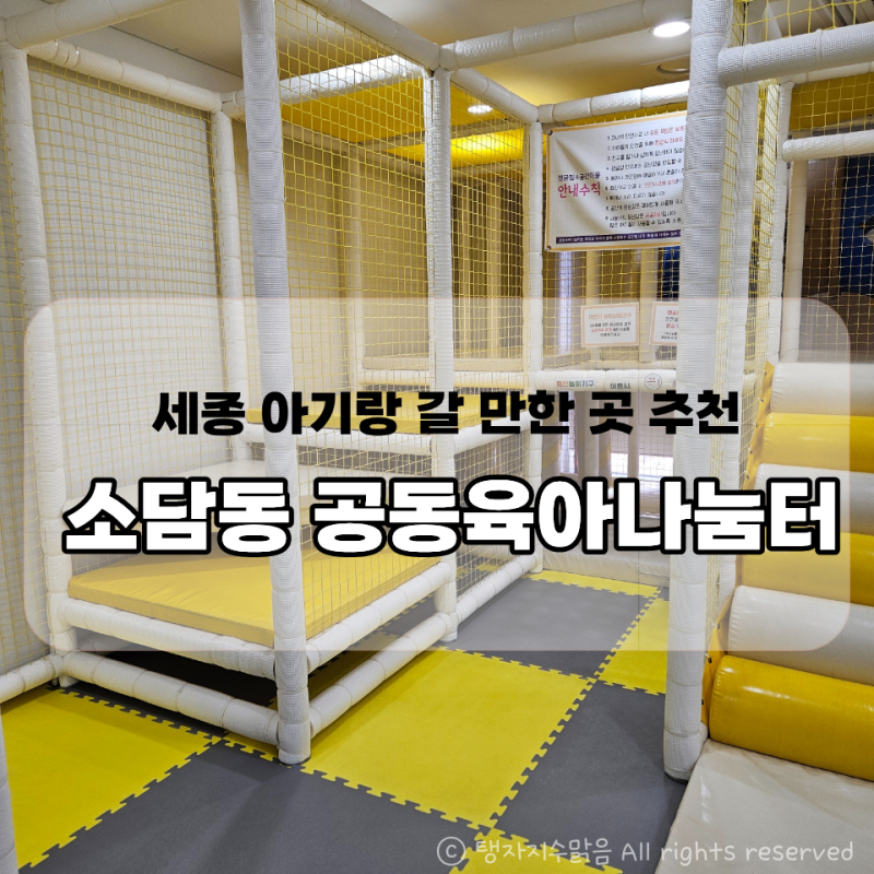 세종 공동육아나눔터 소담동 두돌아기와│대근육 소근육 놀이 균형있게 놀 수 있는 곳