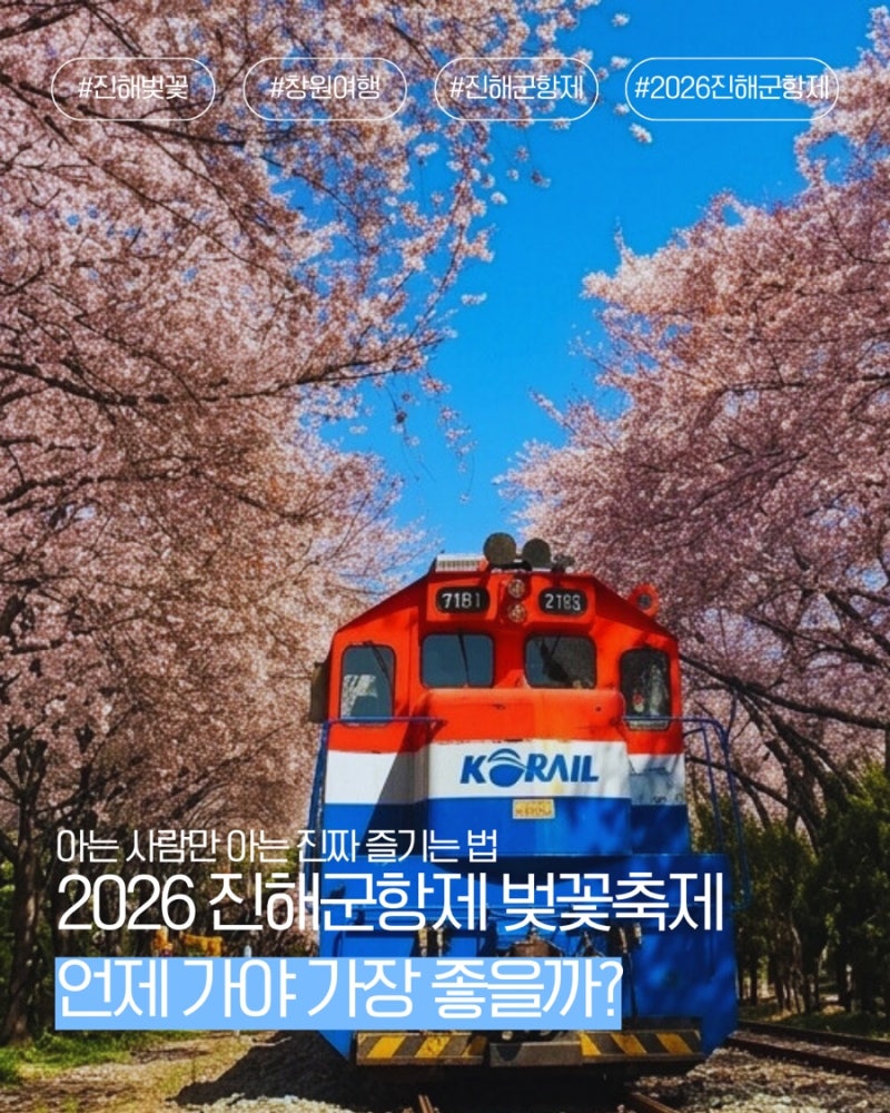 2026 진해군항제 완벽 가이드 – 64년의 역사를 품은 벚꽃 축제, 아는 사람만 아는 진짜 즐기는....