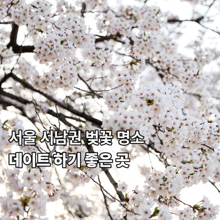  서울 서남권 벚꽃 명소 데이트하기 좋은 곳 추천