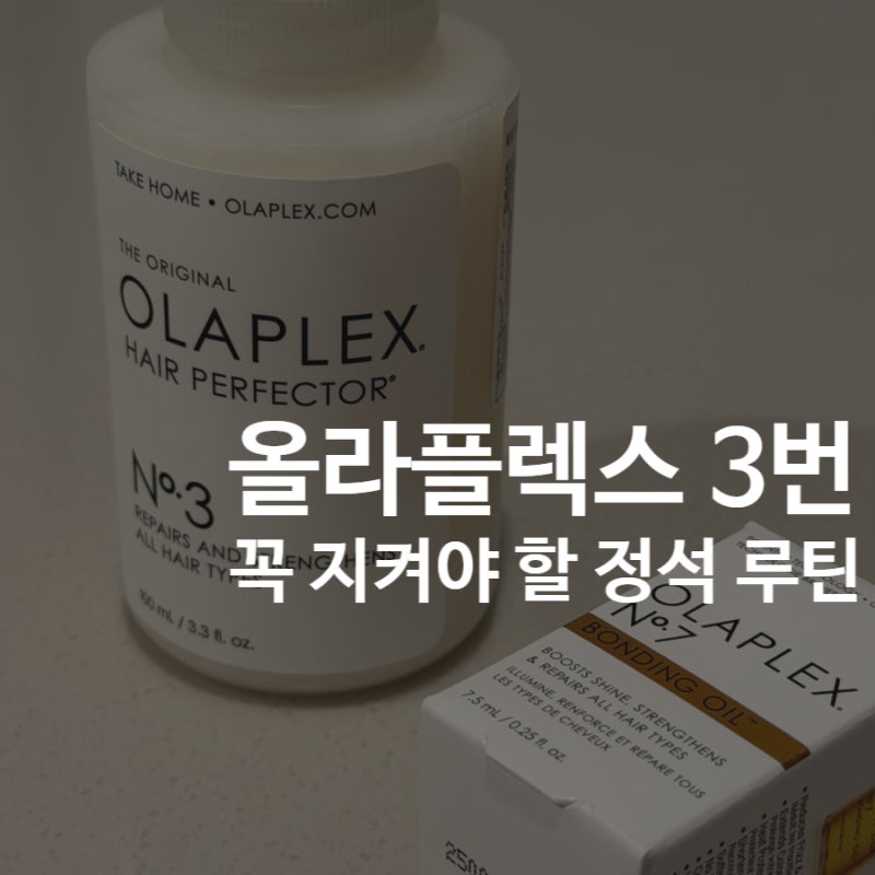 올라플렉스 3번 헤어퍼펙터 | 효과 극대화하는 정석 사용법과 라인업 정리