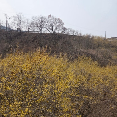 사진 6